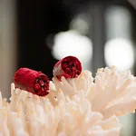 Restaurant Merlet Schoorl